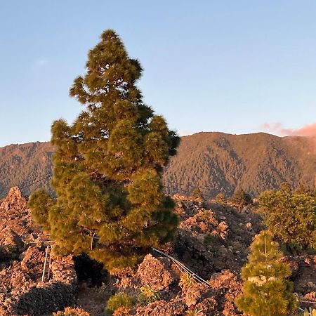 El Oasis Ξενοδοχείο El Paso Εξωτερικό φωτογραφία
