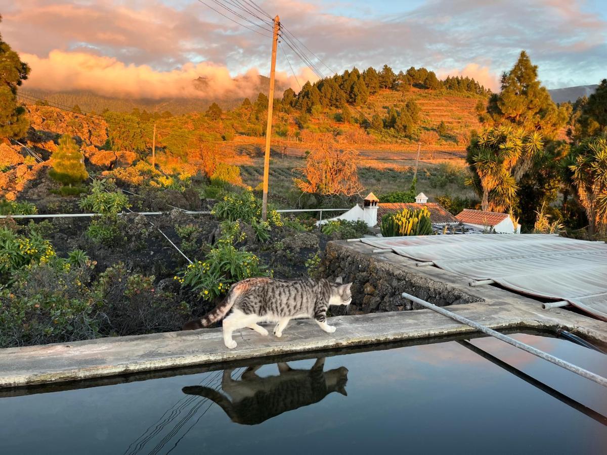 El Oasis Ξενοδοχείο El Paso Εξωτερικό φωτογραφία